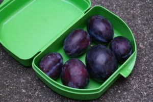Fresh plums in plastic travel container