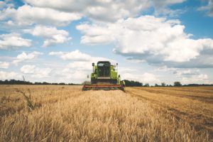 Tractor harvesting wheat