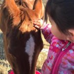 granddaughter petting horse
