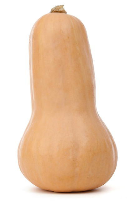 butternut squash with a long neck and a small bulb
