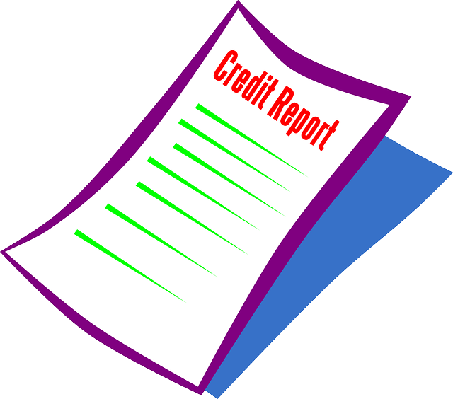 picture of a credit report