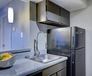 Clean kitchen, sink, counters, cabinets and refrigerator