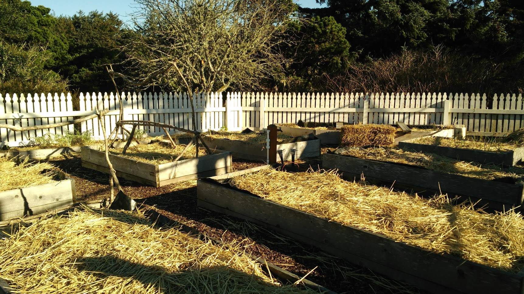 Putting Your Garden To Bed For The Winter Live Smart Colorado - What To Do With Raised Garden Beds In Winter