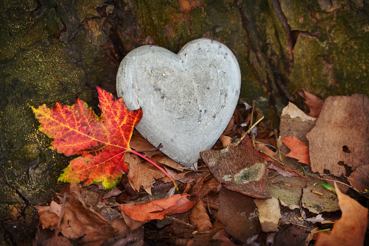 heart stone set in fall leaves