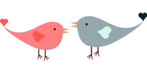 Cartoon love birds in conversation