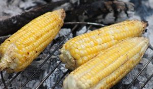 roasted corn on the cob