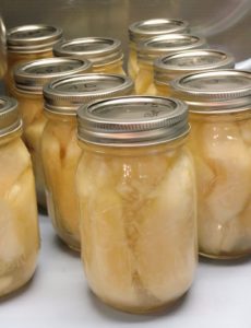 canned pears