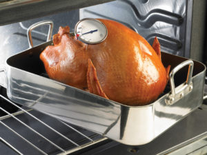 turkey in roasting pan with thermometer in correct position
