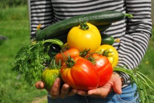 person holding vegetables from the garden