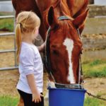 girl petting a horse