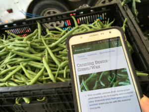 Smart phone using Preserve Smart app to preserve green beans