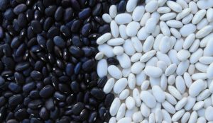 black-and-navy-beans