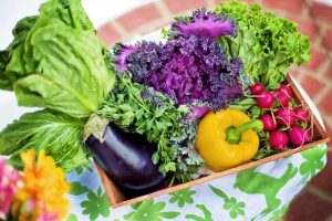 garden vegetables such as lettuce, cabbage, bell pepper, radishes and eggplant