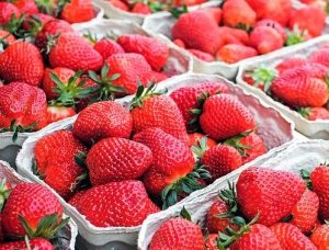 quart boxes of fresh strawberries