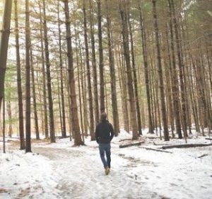 Person out for a walk in the evergreens with snow on the ground