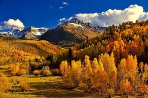 Colorado mountains and trees full of fall color