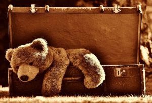 Brown Teddy Bear in Brown Trunk
