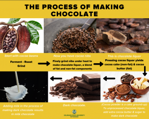 Process of making chocolate