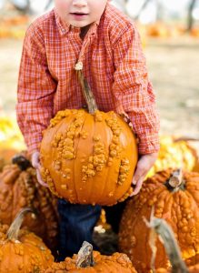 child harvesting a pumpkin