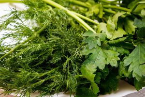 Dill and parsley leaves and stems