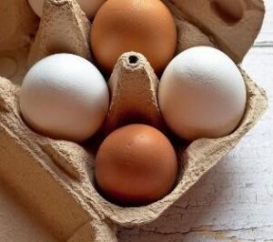 carton of eggs both brown and white colors