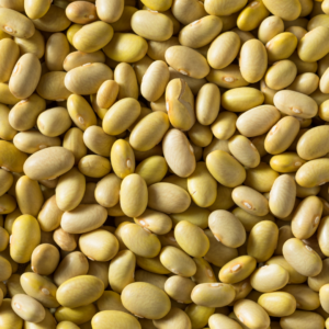 Mayocoba beans 