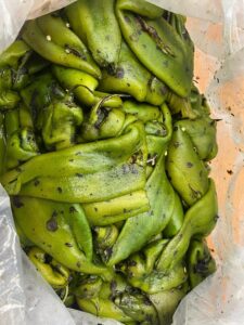 Bag of freshly roasted green chili peppers