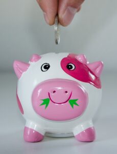 hand putting a coin into a piggy bank