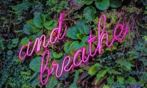 words "and breathe" on a background of green plants
