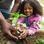 Child planting a seedling