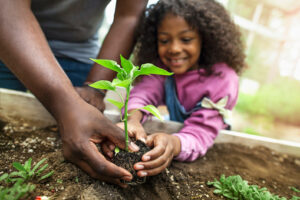 Child planting a seedling