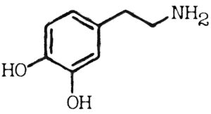 chemical drawing of Dopamine