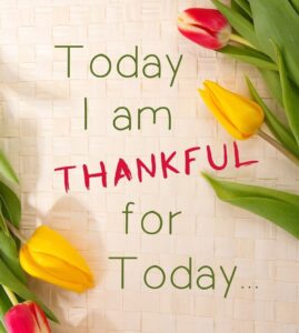 Today I am thankful for today