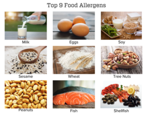 Photos of the top 9 allergens. Milk, eggs, soy, sesame, wheat, tree nuts, peanuts, fish, and shellfish