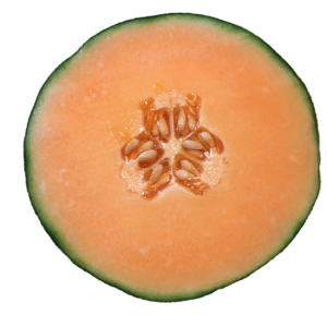 cantaloupe half