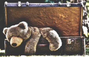 Teddy bear in a suitcase