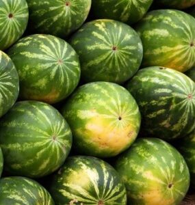 watermelons stacked together