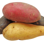 Stack of three raw potatoes. white, red and purple.