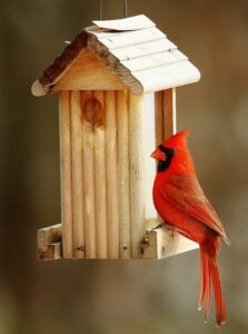 Wooden birdhouse with a red cardinal perching on the side.