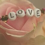 Beaded bracelet with letter beads spelling out the word "LOVE" on top of a light pink rose flower.