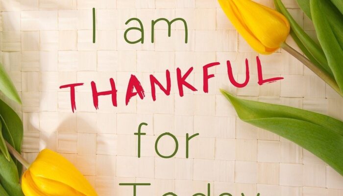 "Today I am Thankful for Today" with red and yellow tulips.